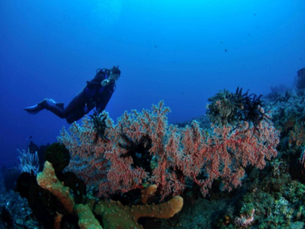 Tulamben Wreck Divers Resort & Restaurant Εξωτερικό φωτογραφία