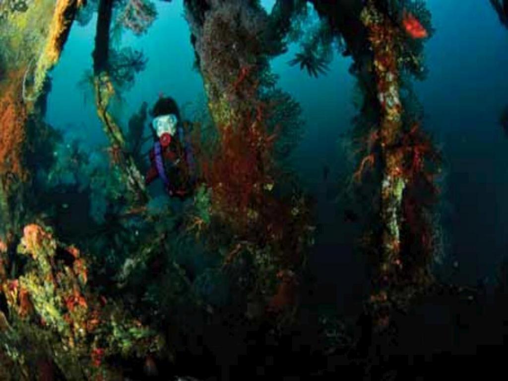 Tulamben Wreck Divers Resort & Restaurant Εξωτερικό φωτογραφία