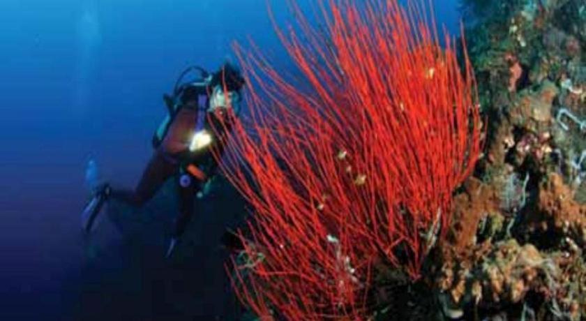 Tulamben Wreck Divers Resort & Restaurant Εξωτερικό φωτογραφία