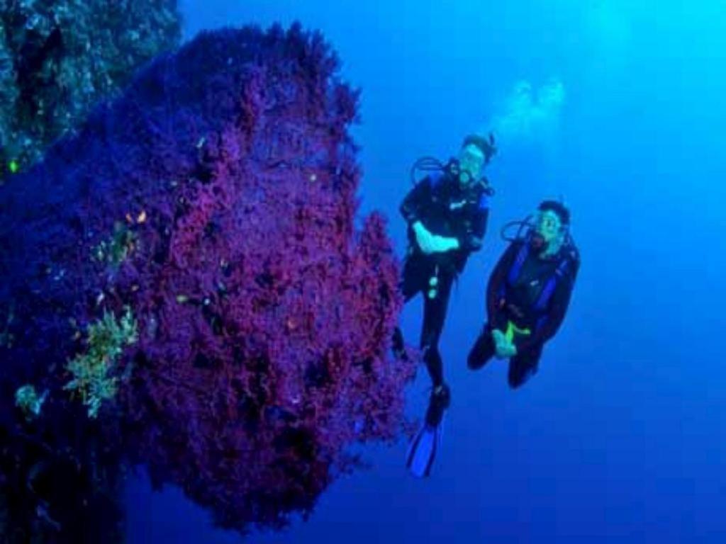 Tulamben Wreck Divers Resort & Restaurant Εξωτερικό φωτογραφία